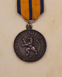 Rudolstadt Ehrenmedaille in Silber