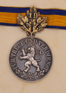 Rudolstadt Ehrenmedaille in Silber mit Eichenbruch